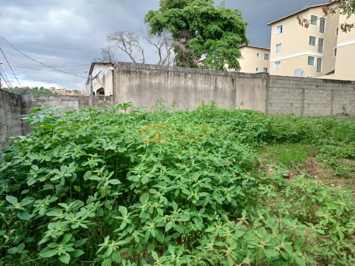 casa-venda-rua-jose-sales-lima-18-vila-das-flores-betim-1038457